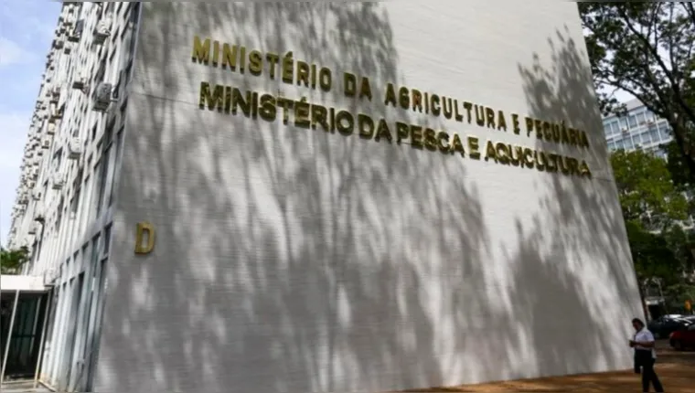 Ministério da Pesca abre vagas com salários de R$ 6,1 mil