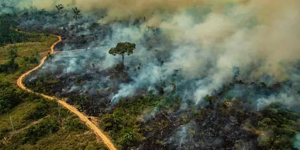 Governo federal pedirá a 4 estados a proibição de fogo em áreas rurais; Pará é um deles
