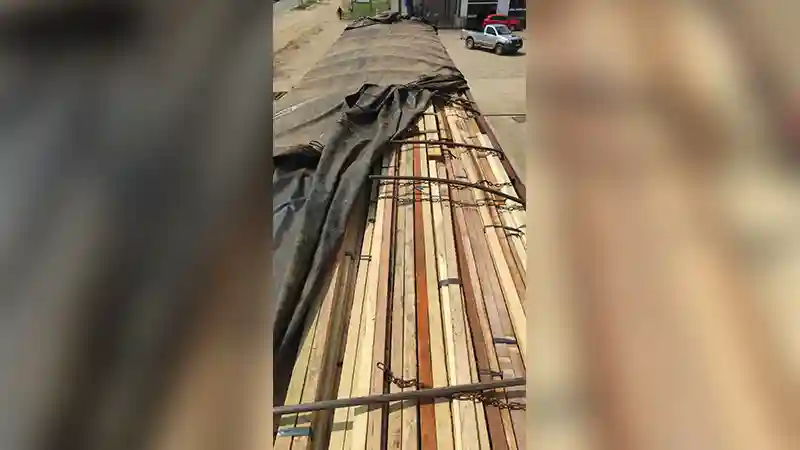 Caminhoneiro com madeira ilegal desafia bloqueio da PM