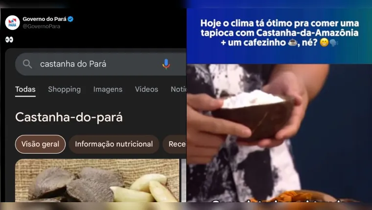 DO PARÁ OU DA AMAZÔNIA? Na internet, amazonenses provocam paraenses na “guerra da castanha” 