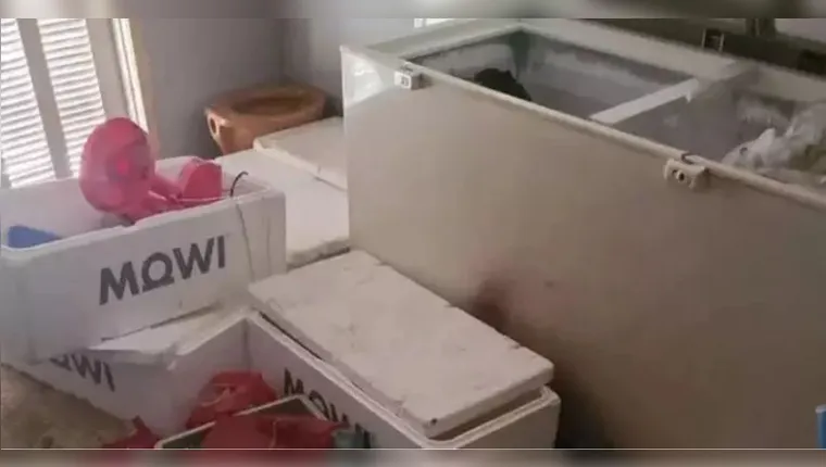 Corpo de homem é achado esquartejado e carbonizado em freezer