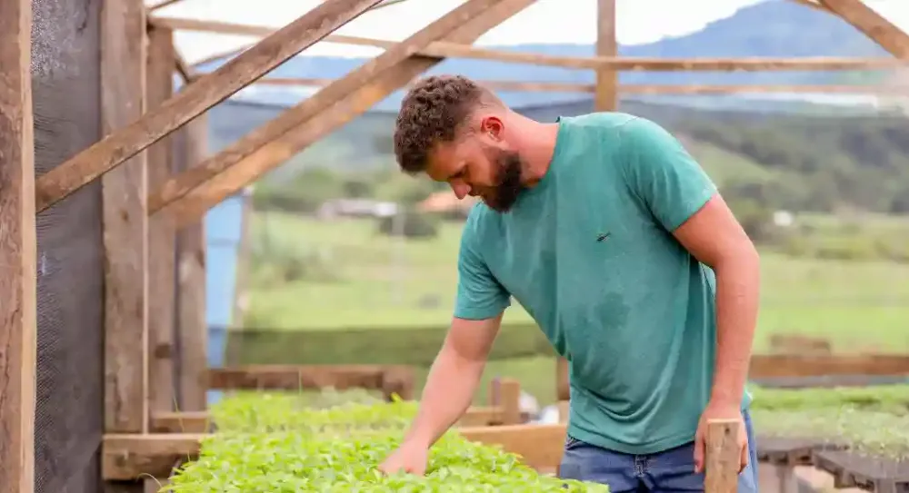 Dia de Campo apresenta estratégias de produção no período chuvoso na Vila Jerusalém