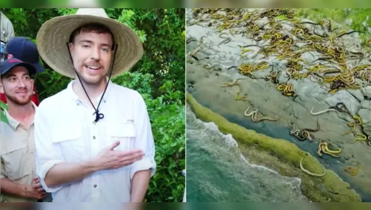 Vídeo: maior youtuber do mundo visita ilha das cobras