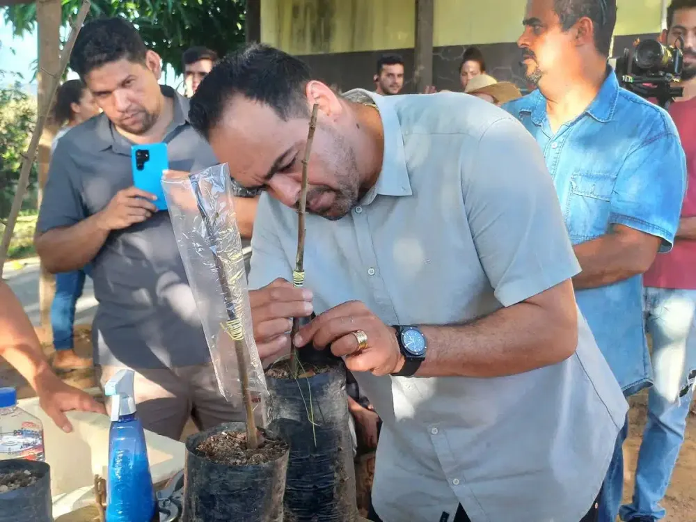 Prefeitura de Parauapebas firma acordo com a UFRA para fortalecimento da cacauicultura