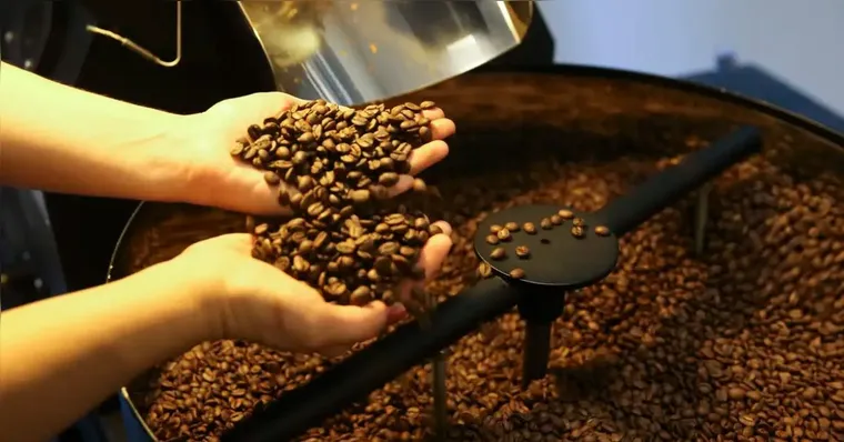 Após 18 meses de alta, preço do café registra primeira queda