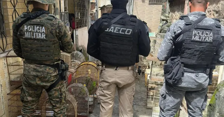 Um dos maiores traficantes de animais do país é preso na Bahia