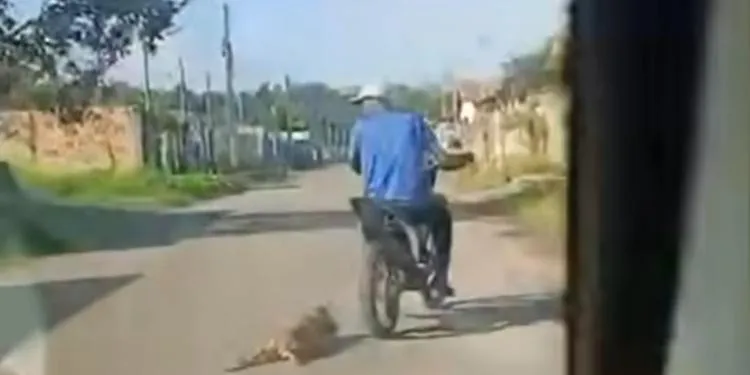 Homem é preso em Breu Branco após arrastar cachorro pela corrente com motocicleta