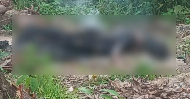 Mulher encontrada carbonizada em lixão | Divulgação