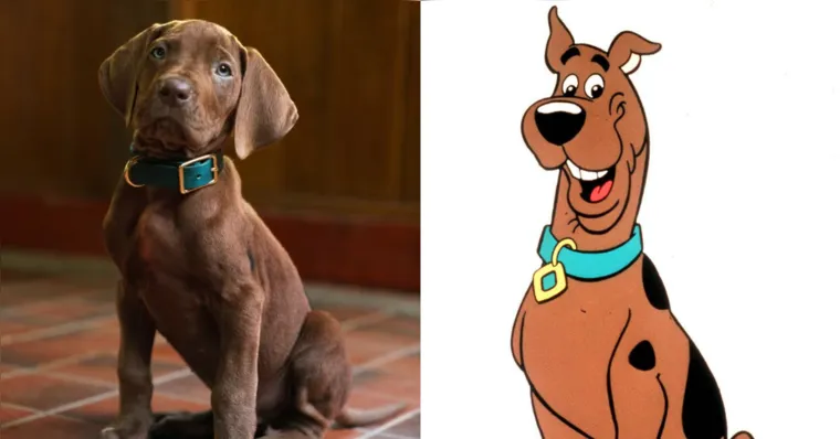 Netflix divulga “ator” que viverá Scooby-Doo em live-action