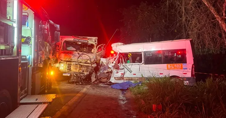 Seis pessoas morrem em colisão entre van e caminhão na BR-010 no Pará