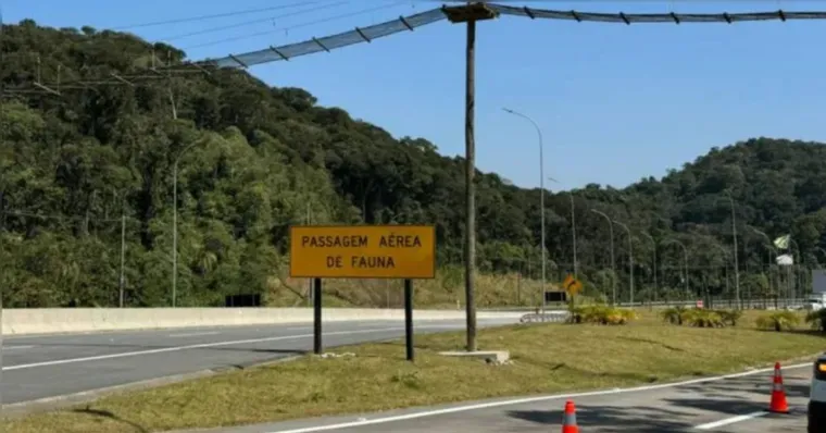 Avenida Liberdade volta a ter tráfego a partir desta sexta-feira (10)