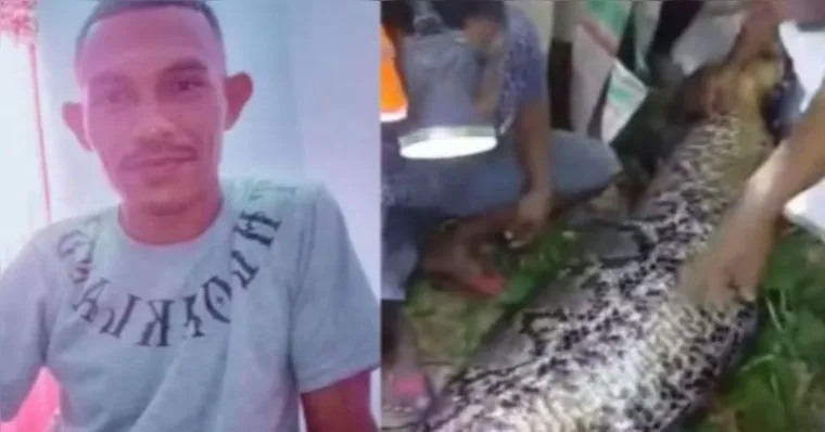 Homem é devorado vivo por píton de 7 metros; veja