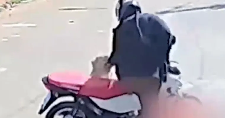 Mulher é atacada por pitbull no bairro Jardim Planalto, em Parauapebas
