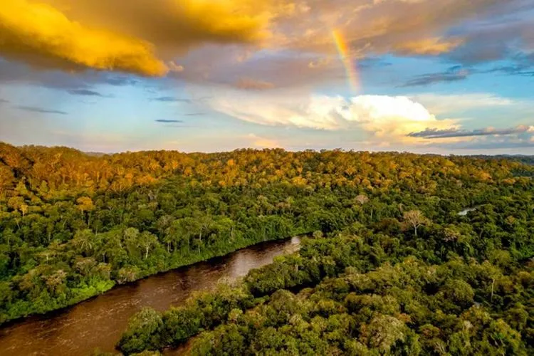 Pará registra menor área sob alertas de desmatamento desde 2018. (Foto: Fernando Sette / Divulgação)