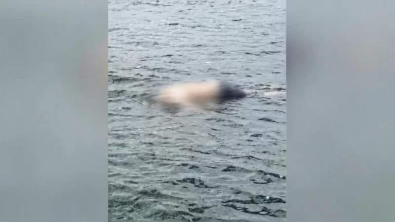 Homem é encontrado morto com marca de tiro no Rio Tocantins em Breu Branco