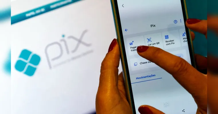Na internet, a fraude pode ocorrer quando criminosos alteram os dados de pagamento de uma página ou criam um site falso que imita o de uma loja conhecida. | Foto: Bruno Peres/Agência Brasil