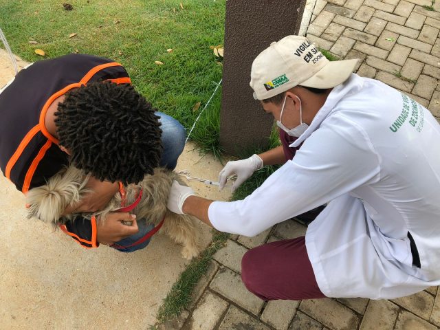 Vacinação contra raiva animal na zona rural tem início nesta quinta-feira