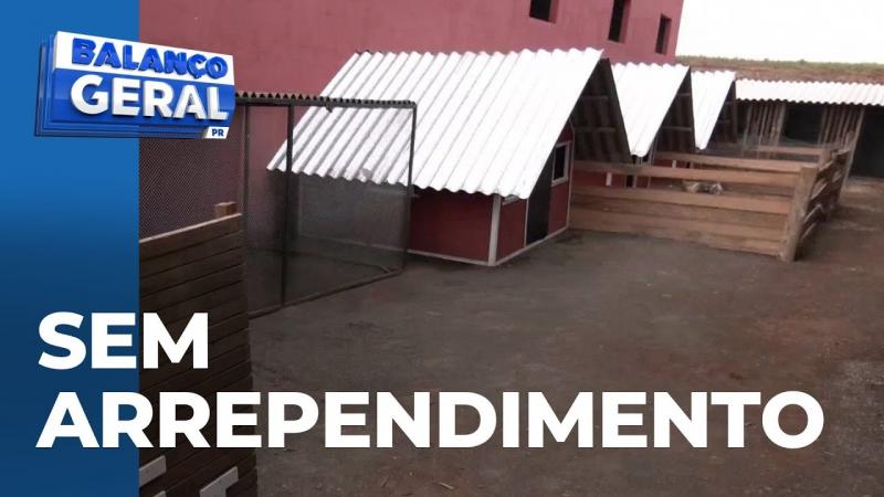 Menino de 9 anos, que matou animais em hospital veterinário, não demonstrou arrependimento